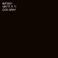 #0F0501 - Cod Gray Color Image